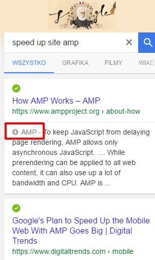 speed up site amp Szukaj w Google